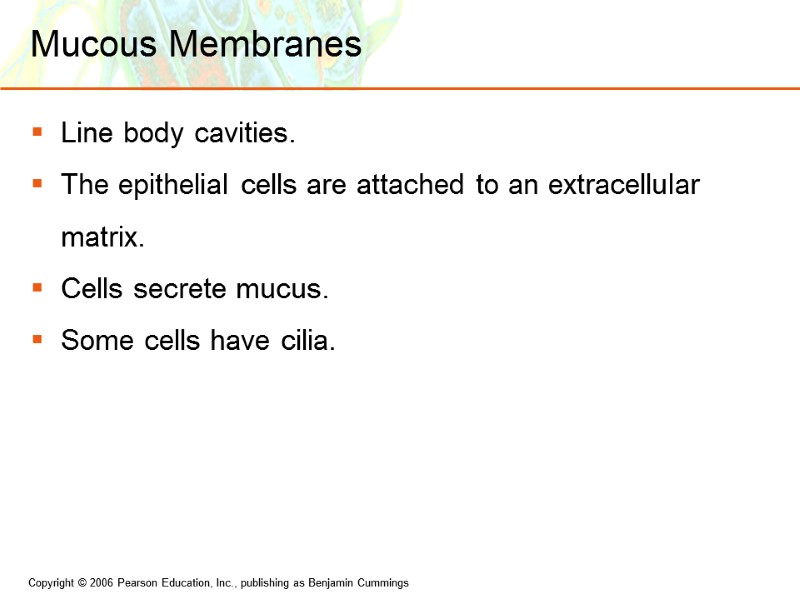 Mucous Membranes Line body cavities. The epithelial cells are attached to an extracellular matrix.